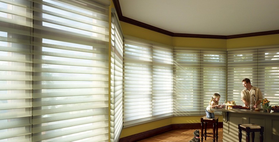 Hunter Douglas Window Coverings